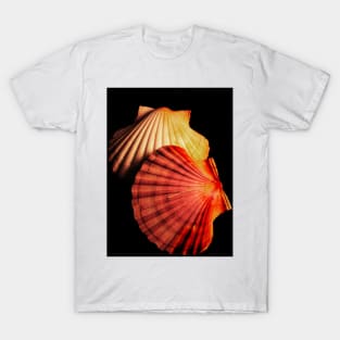 pectens T-Shirt